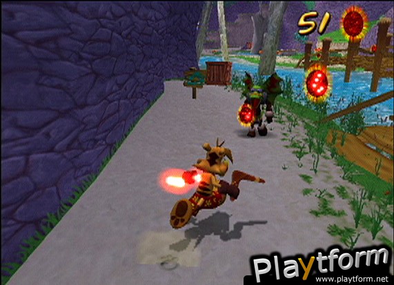 Ty the Tasmanian Tiger (PlayStation 2)