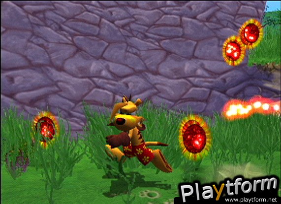 Ty the Tasmanian Tiger (PlayStation 2)