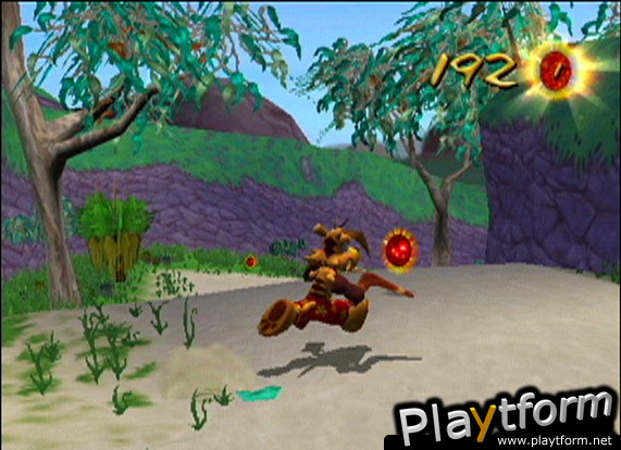 Ty the Tasmanian Tiger (GameCube)