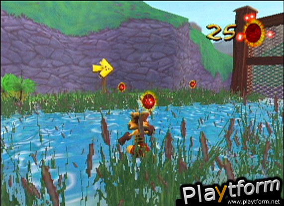 Ty the Tasmanian Tiger (GameCube)