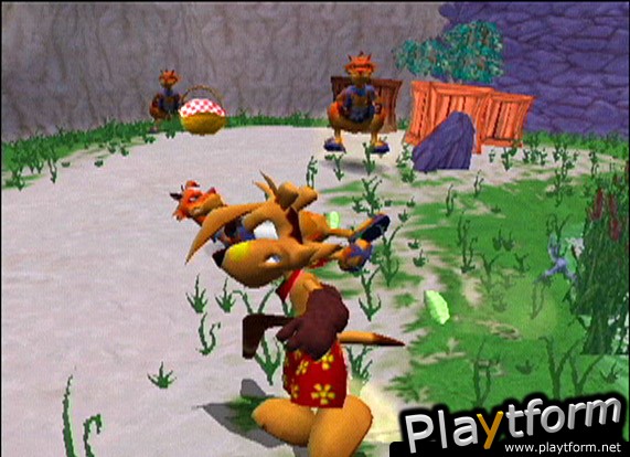 Ty the Tasmanian Tiger (GameCube)