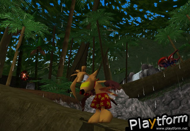 Ty the Tasmanian Tiger (GameCube)