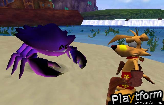 Ty the Tasmanian Tiger (GameCube)