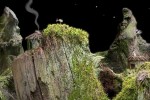 Samorost 1 (PC)