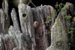 Samorost 1 (PC)