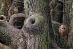 Samorost 1 (PC)