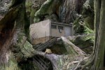 Samorost 1 (PC)