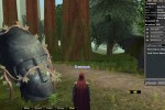 Dark Age of Camelot: Shrouded Isles (PC)