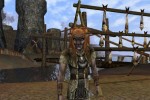 Dark Age of Camelot: Shrouded Isles (PC)