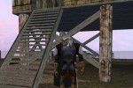 Dark Age of Camelot: Shrouded Isles (PC)