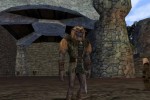 Dark Age of Camelot: Shrouded Isles (PC)