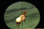 Cabela's Big Game Hunter (PlayStation 2)