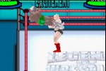 Legends of Wrestling II (Game Boy Advance)