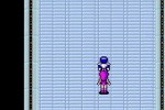 Phantasy Star Collection (Game Boy Advance)
