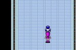 Phantasy Star Collection (Game Boy Advance)