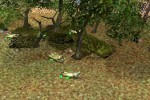 Platoon: The 1st Airborne Cavalry Division in Vietnam (PC)