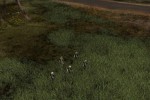 Platoon: The 1st Airborne Cavalry Division in Vietnam (PC)