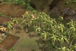 Platoon: The 1st Airborne Cavalry Division in Vietnam (PC)