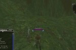 Asheron's Call 2: Fallen Kings (PC)