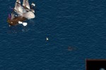 Cossacks: Back to War (PC)