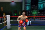 Rocky (PlayStation 2)