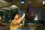 Rocky (GameCube)