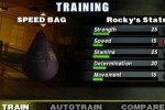 Rocky (GameCube)