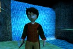 Harry Potter and the Chamber of Secrets (PlayStation)