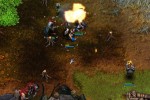 Battle Realms: Winter of the Wolf (PC)