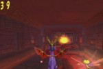 Spyro: Enter the Dragonfly (PlayStation 2)