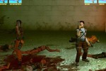 Twin Caliber (PlayStation 2)