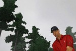 Tiger Woods PGA Tour 2003 (PC)