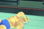 WWE SmackDown! Shut Your Mouth (PlayStation 2)