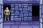 Dungeons & Dragons: Eye of the Beholder (Game Boy Advance)