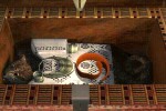 The Cameron Files: Pharaoh's Curse (PC)