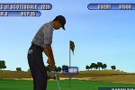 Tiger Woods PGA Tour 2003 (PlayStation 2)