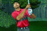 Tiger Woods PGA Tour 2003 (PlayStation 2)