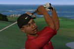 Tiger Woods PGA Tour 2003 (PlayStation 2)