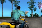 Grand Theft Auto: Vice City (PlayStation 2)