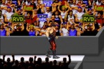 WWE Road to WrestleMania X8 (Game Boy Advance)