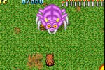 Pocky & Rocky with Becky (Game Boy Advance)