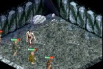 The Lord of the Rings: The Fellowship of the Ring (Game Boy Advance)