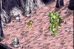 The Lord of the Rings: The Fellowship of the Ring (Game Boy Advance)
