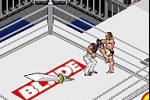 Fire Pro Wrestling 2 (Game Boy Advance)