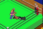 Fire Pro Wrestling 2 (Game Boy Advance)