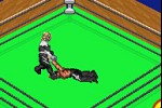 Fire Pro Wrestling 2 (Game Boy Advance)