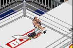 Fire Pro Wrestling 2 (Game Boy Advance)