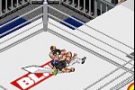 Fire Pro Wrestling 2 (Game Boy Advance)