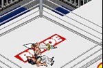 Fire Pro Wrestling 2 (Game Boy Advance)