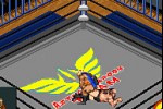 Fire Pro Wrestling 2 (Game Boy Advance)